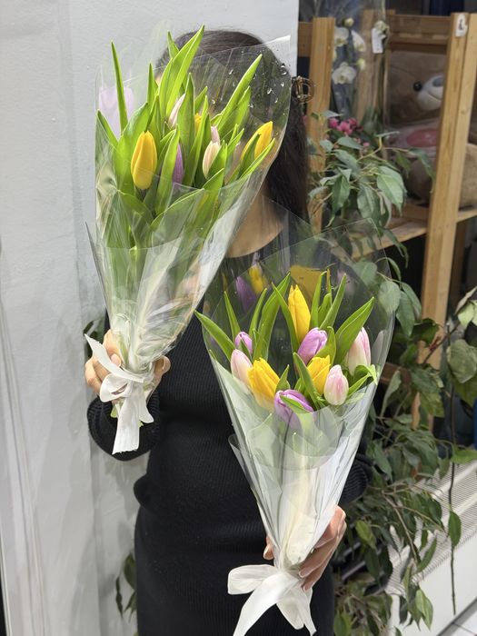 Тюльпаны Голландские