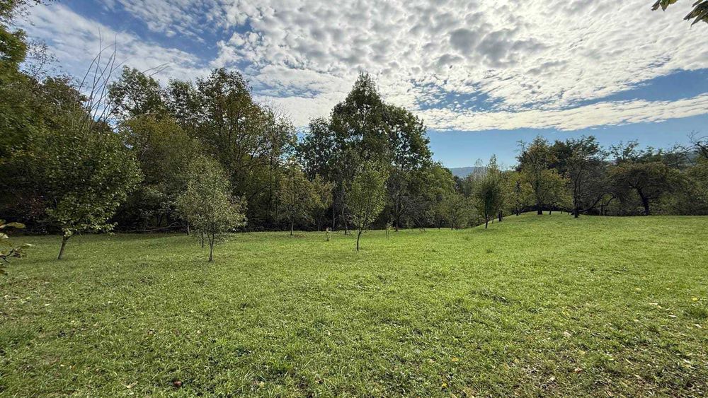 Vanzare teren 7582 mp + casa, sat Poiana Trestiei, Com. Cosminele, Jud. Prahova - Mai multe