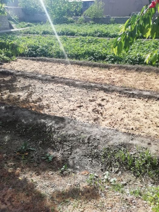 6 сотих ер тураржой