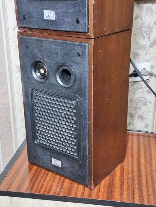 Колонки 10АС-9 (аналог S30)