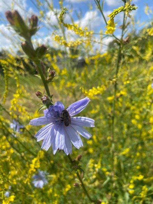 Боровое домики коттедж.