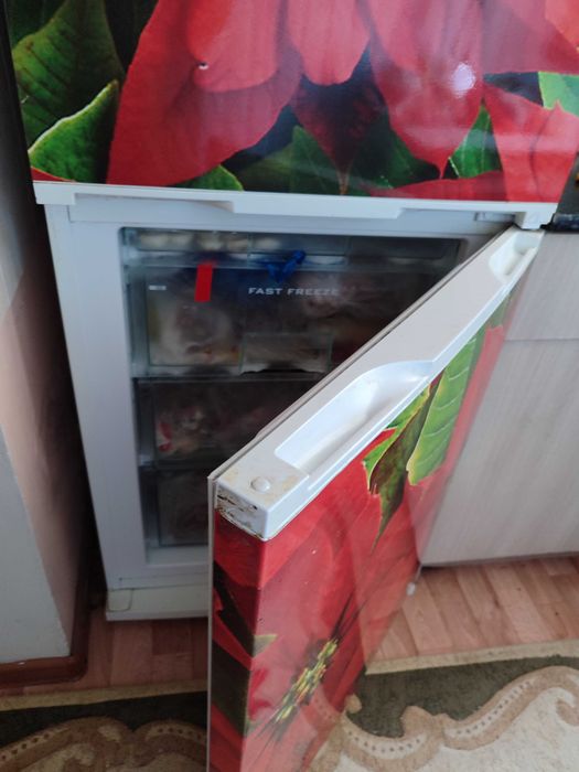 Холодильник с морозильной камерой