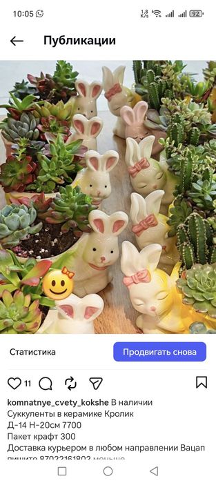 Живые растения в керамических горшочках