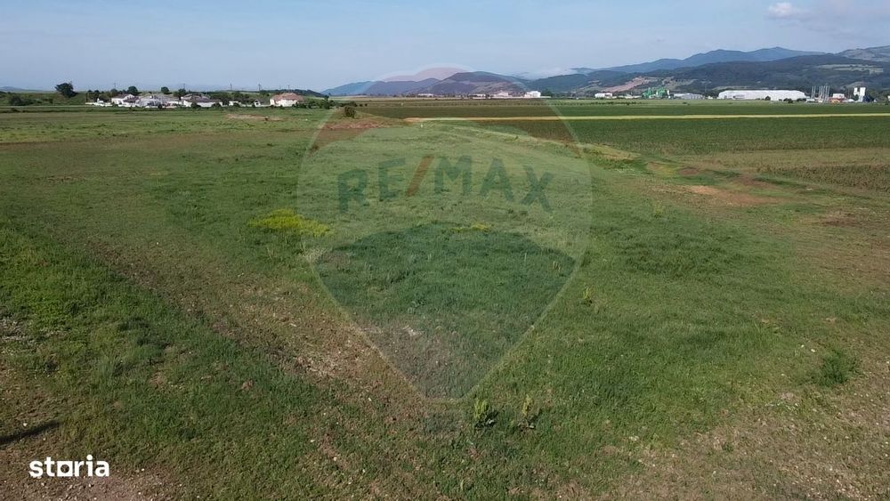 Teren 39,500mp Vintu de Jos