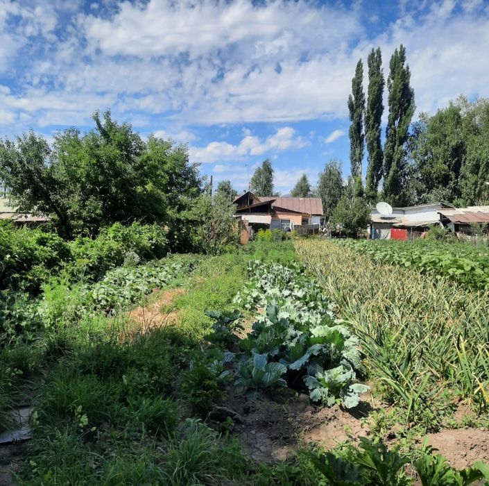 Продаётся дом в с.Шубар в Кербулакском районе