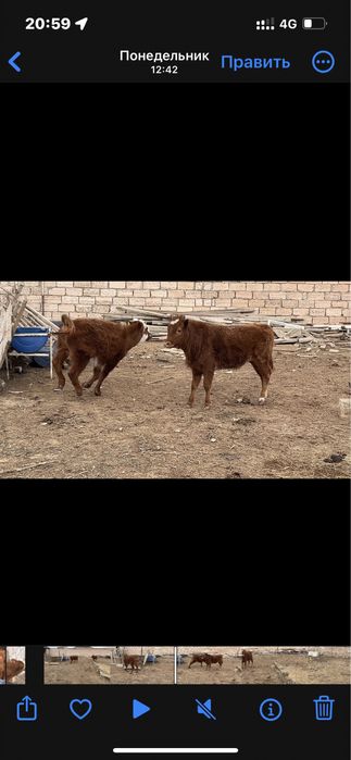 2 баспак сатылады