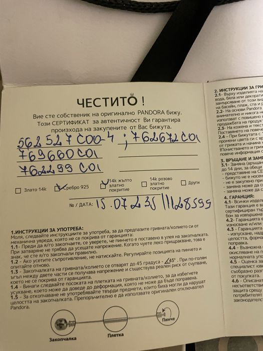 Сребърна гривна Pandora