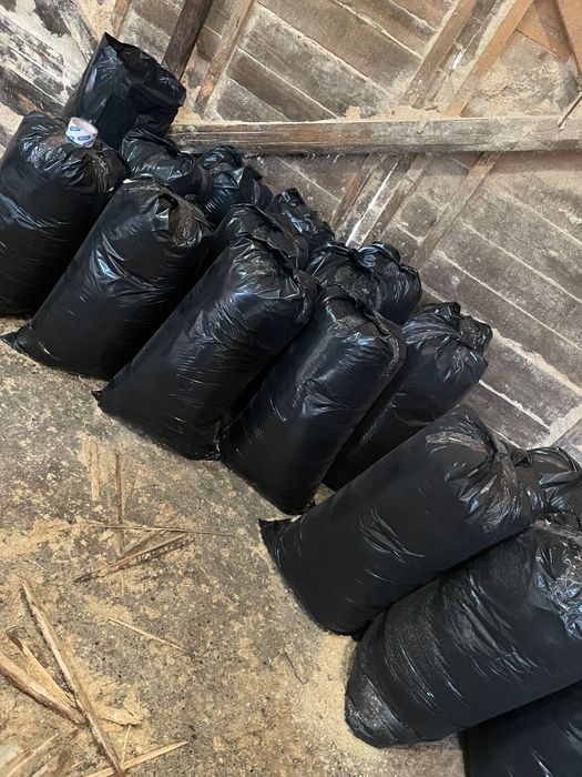 Vand rumegus brad gater