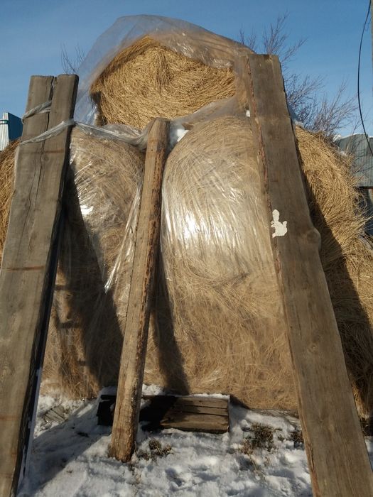 Сено в рулонах разнотравье