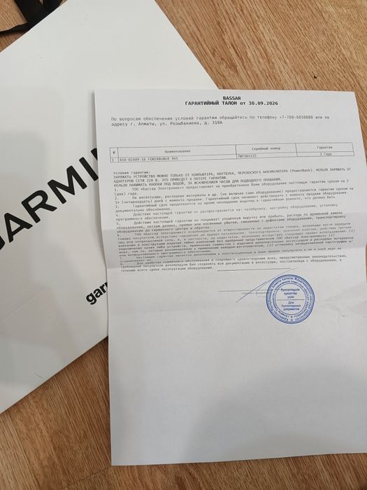 Часы Garmin Forerunner 965