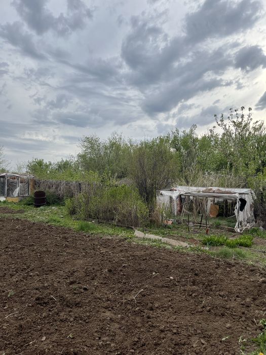 Продаю дачу  сортировка!