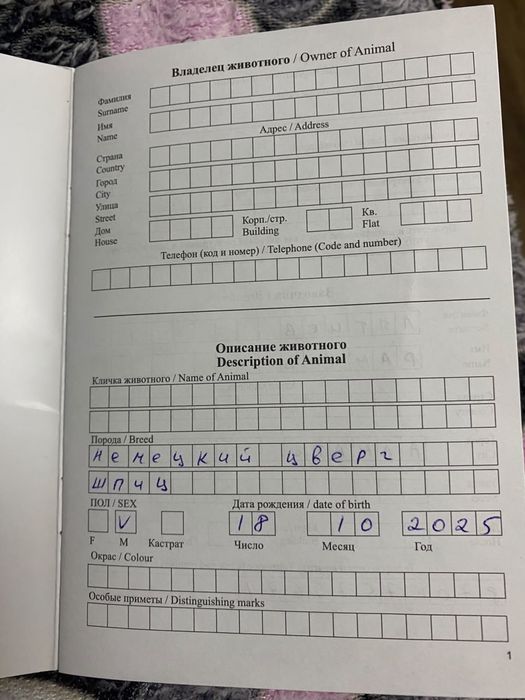 Продам Немецкий шпиц