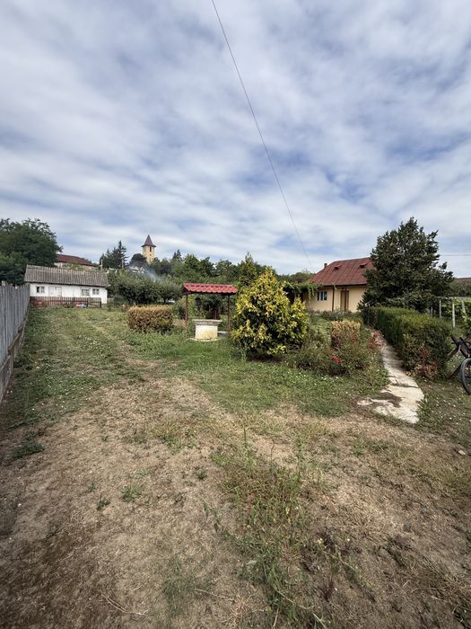 Casa +teren livada si vie 2000MP