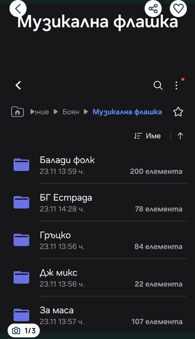 Папки с музика по избор 10евро
