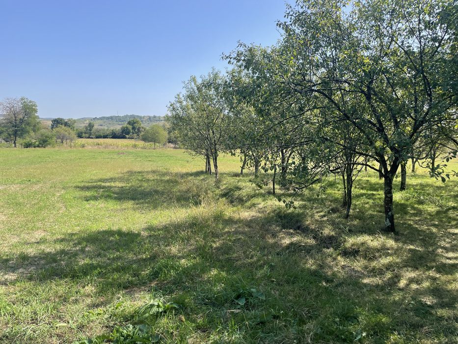 Teren intravilan de vanzare Mesesenii de Jos