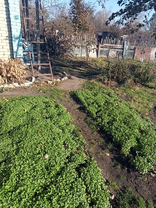 Продам дачный участок