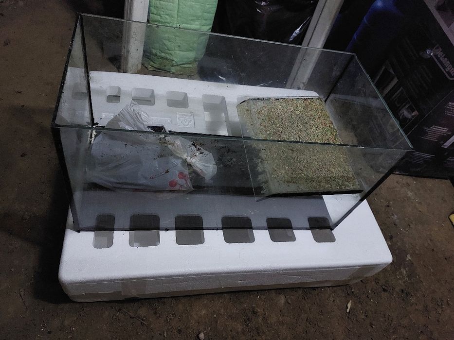 Acvariu pești/broscuțe