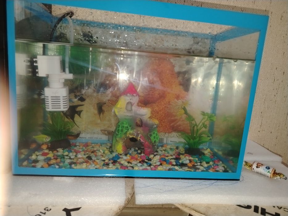 Аквариум сотилади