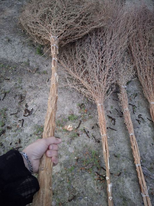 Hovli supurgi. ховли супургь. веник.