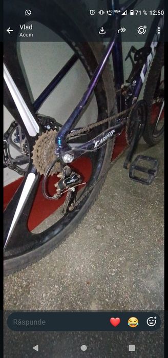 Bicicleta Carpat