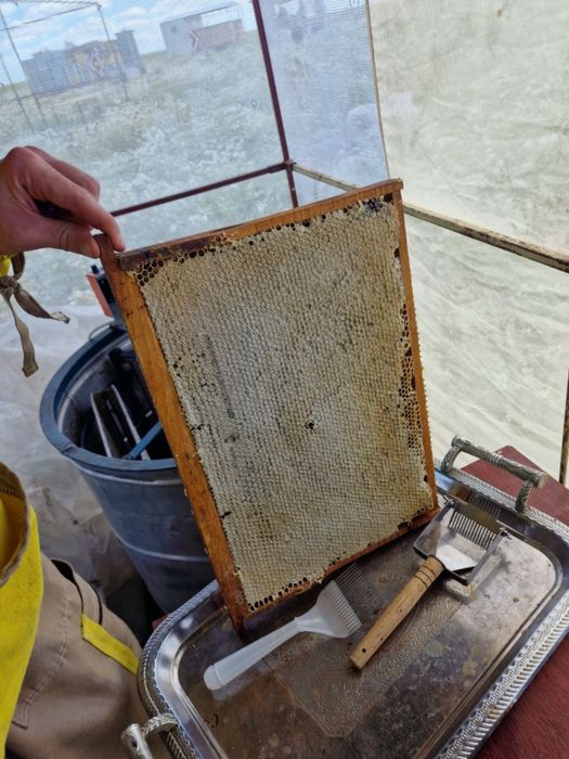 Натуральный мед