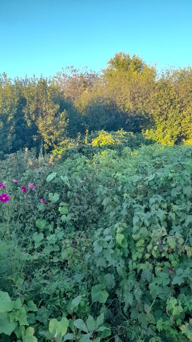 Продам дачу с/о Родник