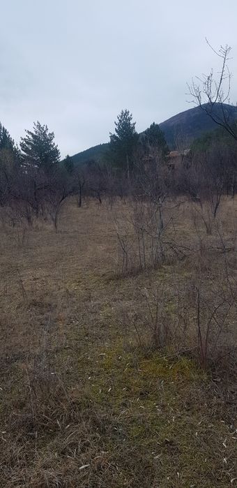 Продава имот в общ.Сапарева баня с.Овчарци