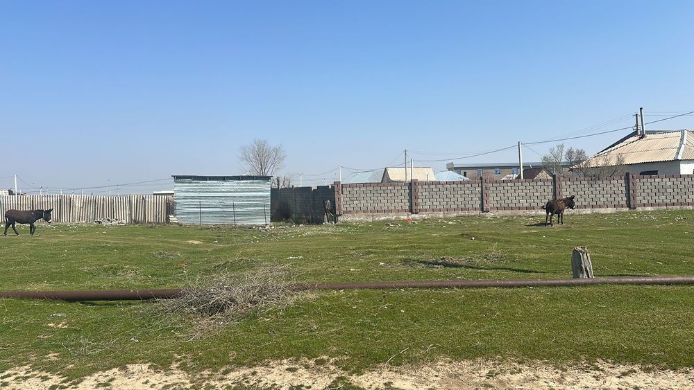 Жер шубарсудан сатылады