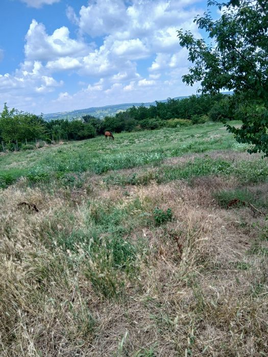 Продавам урегулиран парцел (УПИ) 1455 кв.м в с. Сава, обл. Варна