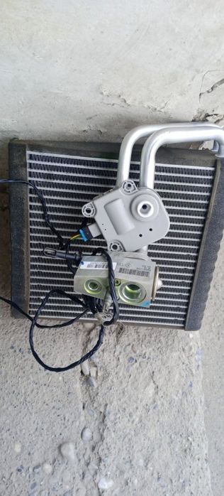 Kandisaner Kaptiva malibga kobtga jentra neksiya 3 neksiya 2 neksiya 1