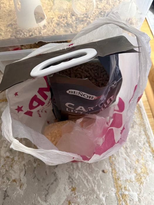 хомяк джунгарский