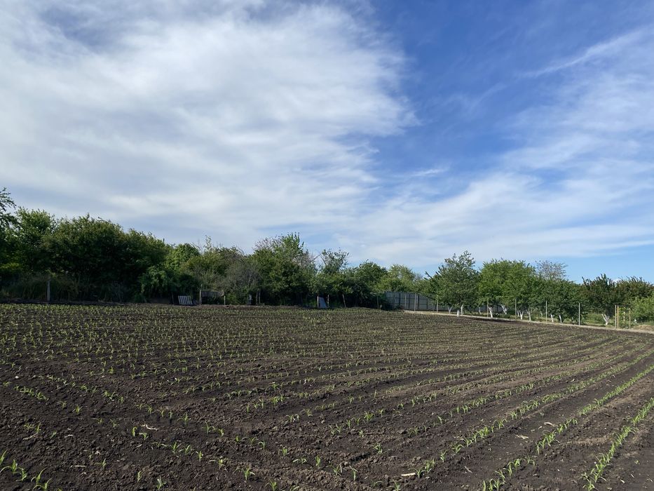 Продава се Парцел в с. Дъбовик, Област Добрич - 1 кв.м за 2091 €/кв.м - Снимка #1