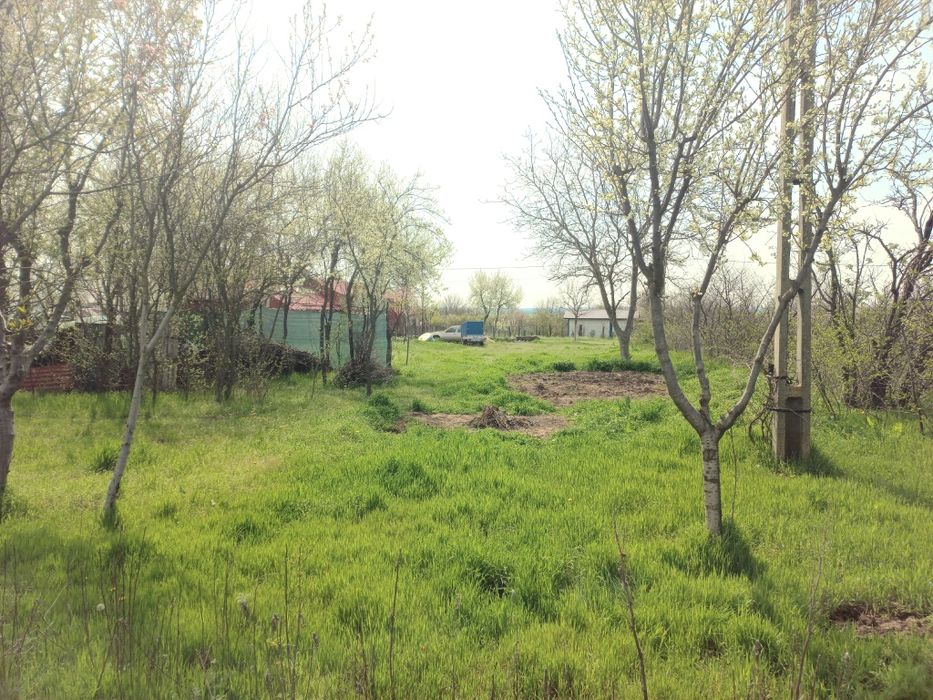 Teren 500mp  Radu Negru Călărași (Gambeta)