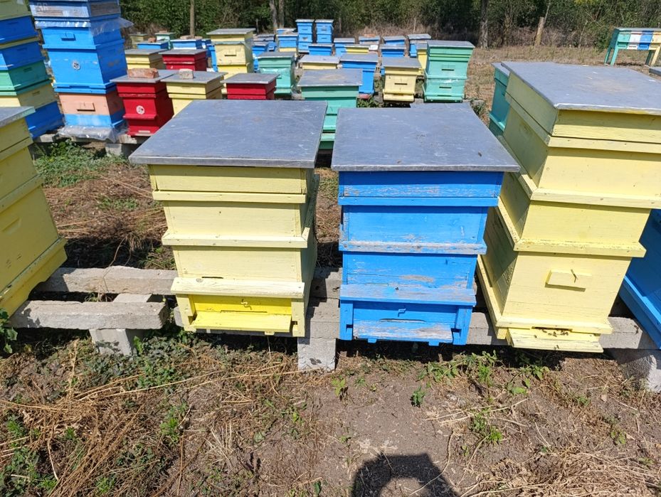 Пчелни кошери използвани