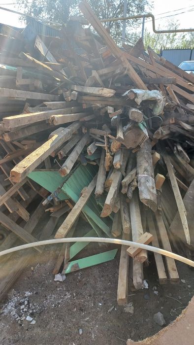 Дерево нормальное