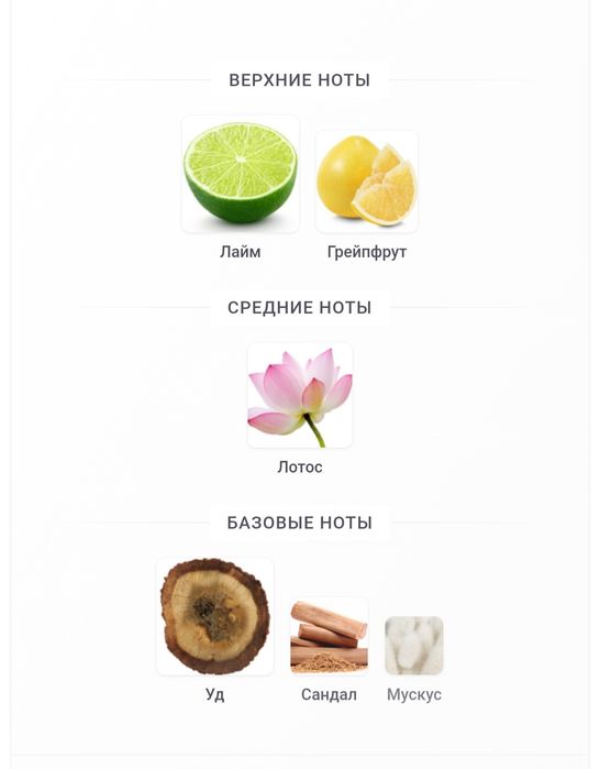 Swiss Arabian - Rakaan оригинал (СКИДКА)