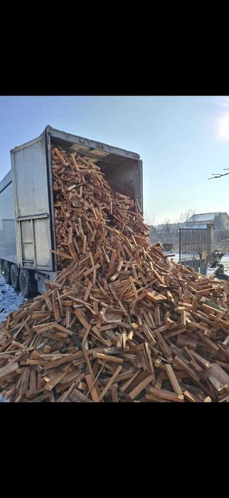 Deșeuri din fag – ideale pentru sobă – la tonă