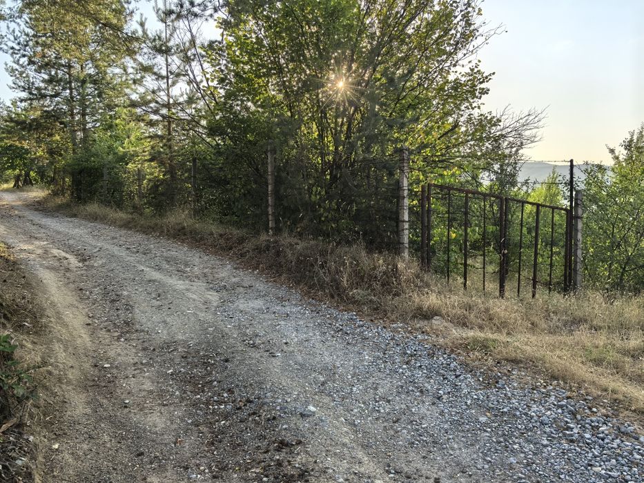 парцел в местността "Гола Велика"