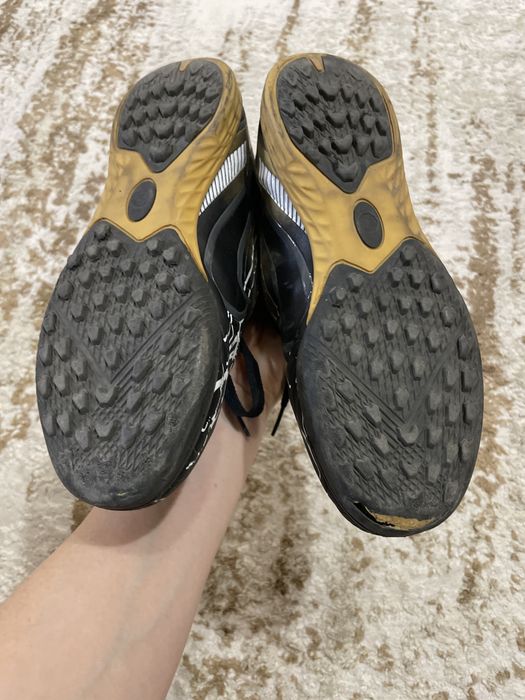 Отдам сороконожки