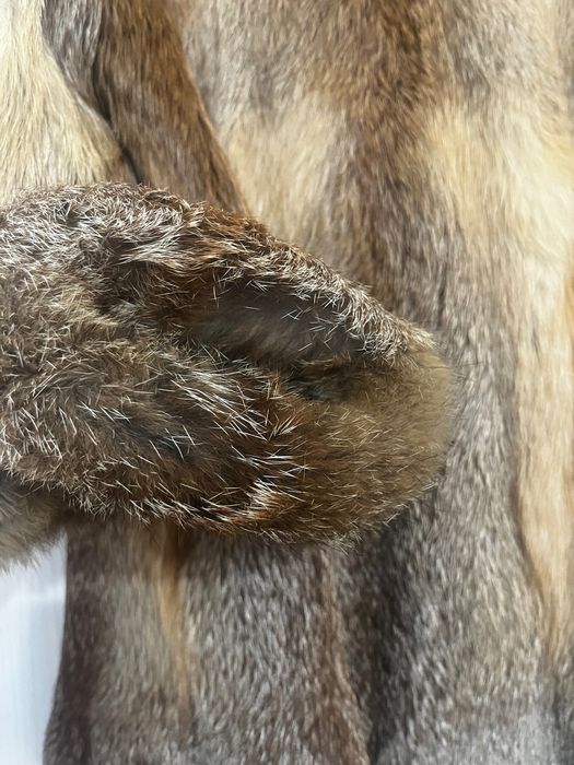 Haină de blană naturală , culori superbe , stare foarte bună .