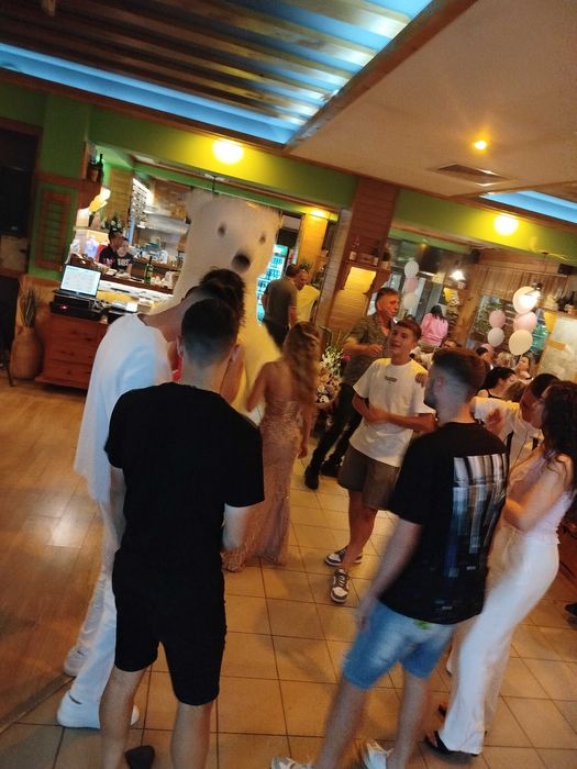 Голяма Бяла Мечка Изненада