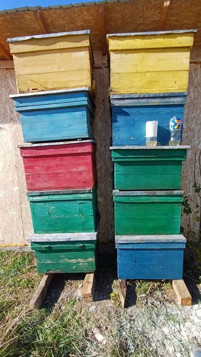 Vand cutii/lazi pentru stupi