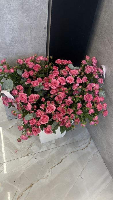 Кустовые свежие розы