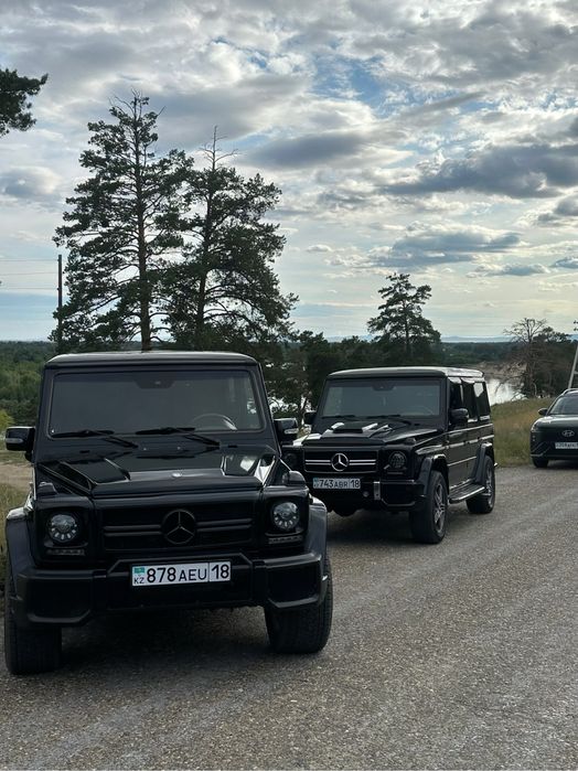 Геленваген  той роддом