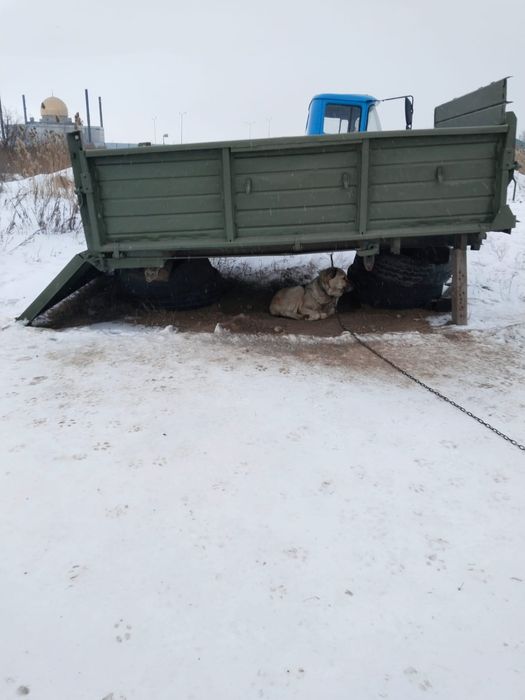 Продам борт Зил 130