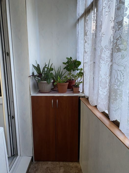 Прдам 2 ку Сокол