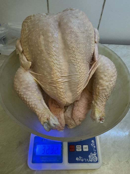 Домашний бройлер