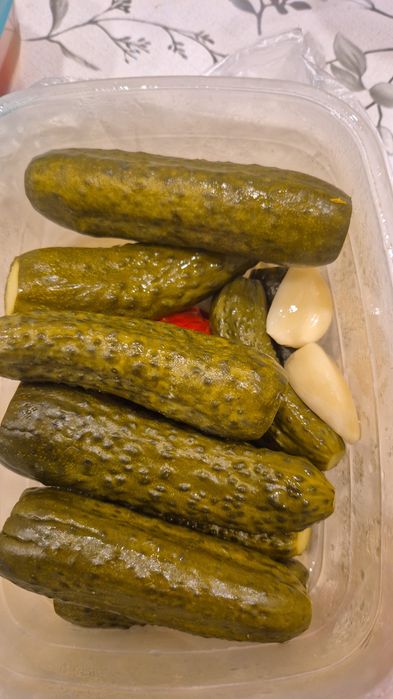 Домашние огурцы.