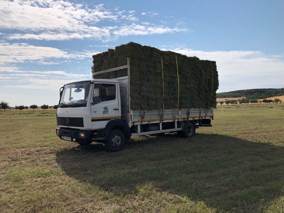 Транспортни Услуги