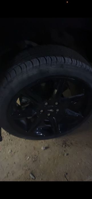 Титанка мустанктан шкан